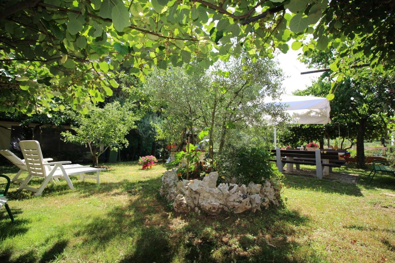 Modern Apartment Sabina With Nice Garden Porec Exterior photo